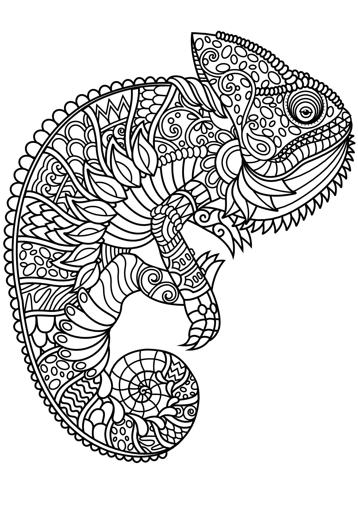 Cameleon Coloring Pages
 Free book chameleon Chameleons & lizards Adult Coloring