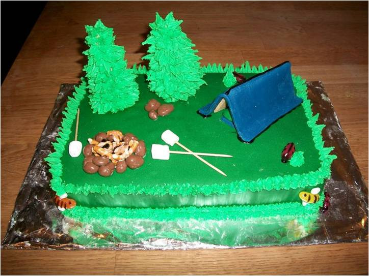 Best ideas about Camping Birthday Cake
. Save or Pin CAMPING SCENE CAKE Now.
