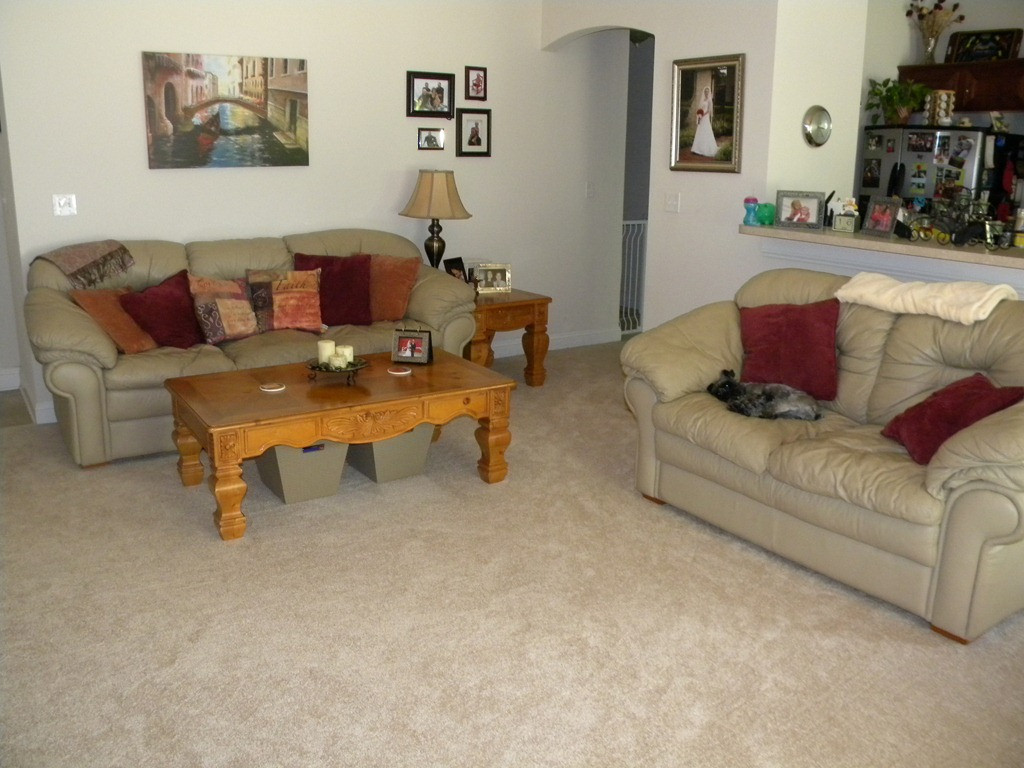 Best ideas about Carpet For Living Room
. Save or Pin Living Room Carpet Choosing Good Carpet Living Room Idea Now.