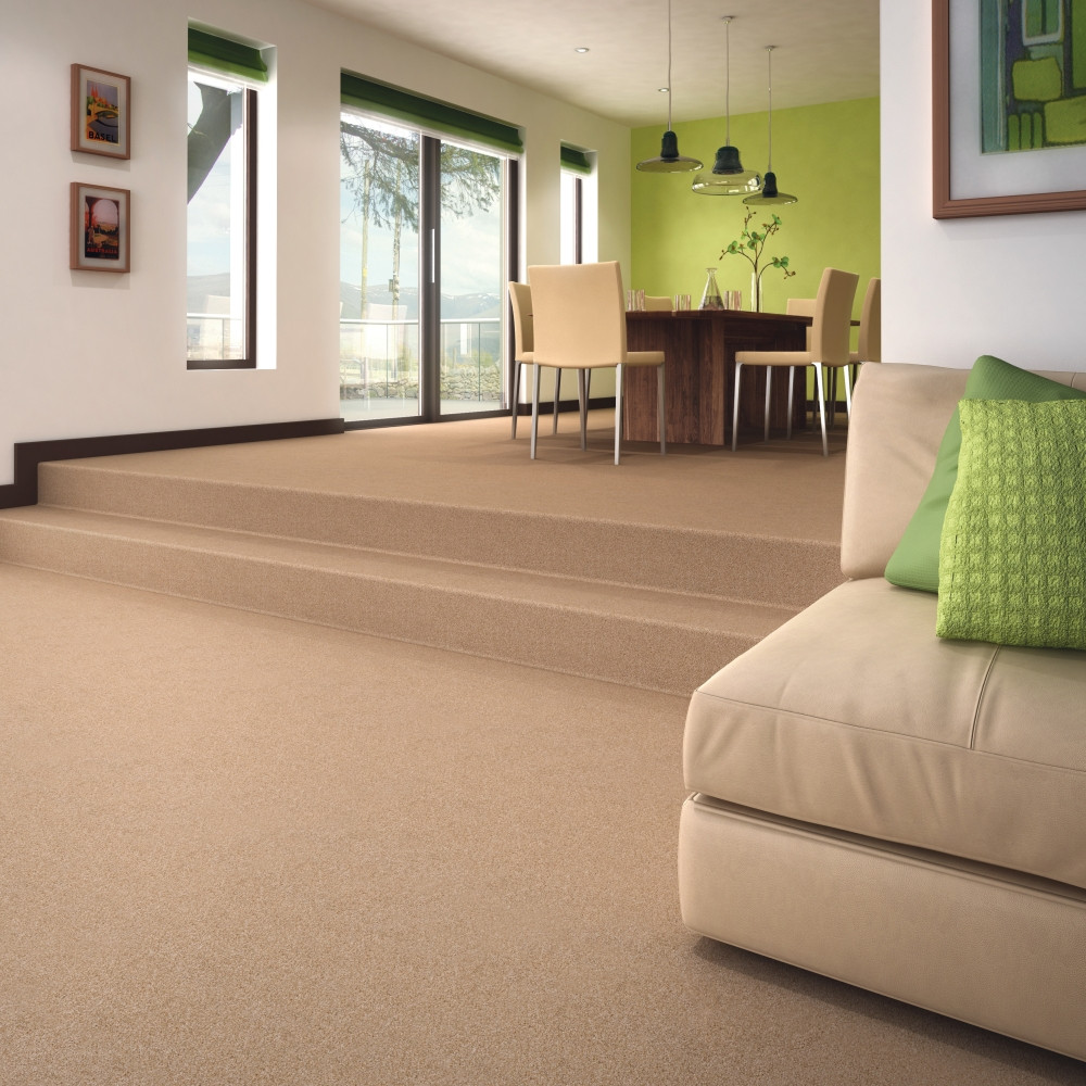 Best ideas about Carpet For Living Room
. Save or Pin Hawk Haven Bed & Breakfast Now.
