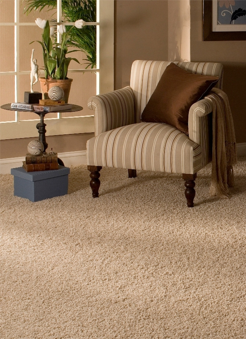 Best ideas about Carpet For Living Room
. Save or Pin Home Selling Tips Carpet Replacement Gets You More Money Now.