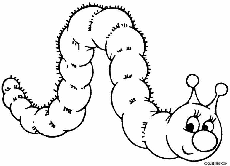 Catepillar Coloring Pages
 Printable Caterpillar Coloring Pages For Kids