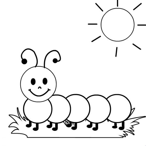 Catepillar Coloring Pages
 Metamorphosis 20 caterpillar coloring pages and pictures