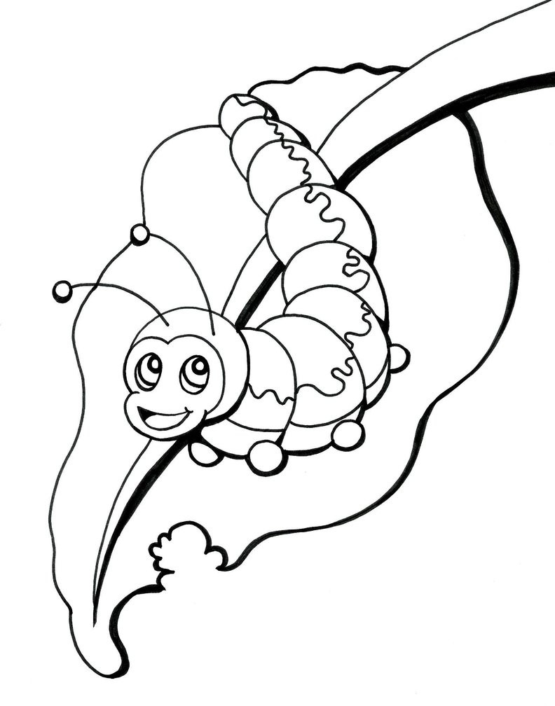 Catepillar Coloring Pages
 Caterpillar Coloring Pages