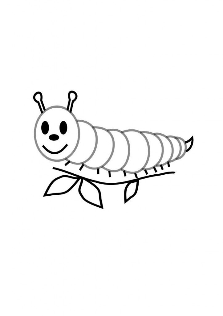 Catepillar Coloring Pages
 Free Printable Caterpillar Coloring Pages For Kids