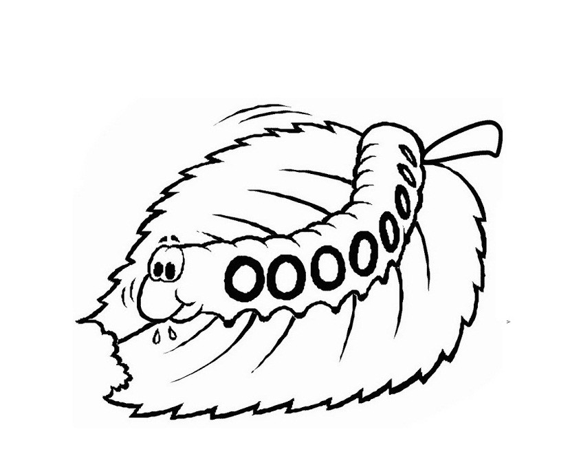 Caterpillar Coloring Pages
 Free Printable Caterpillar Coloring Pages For Kids