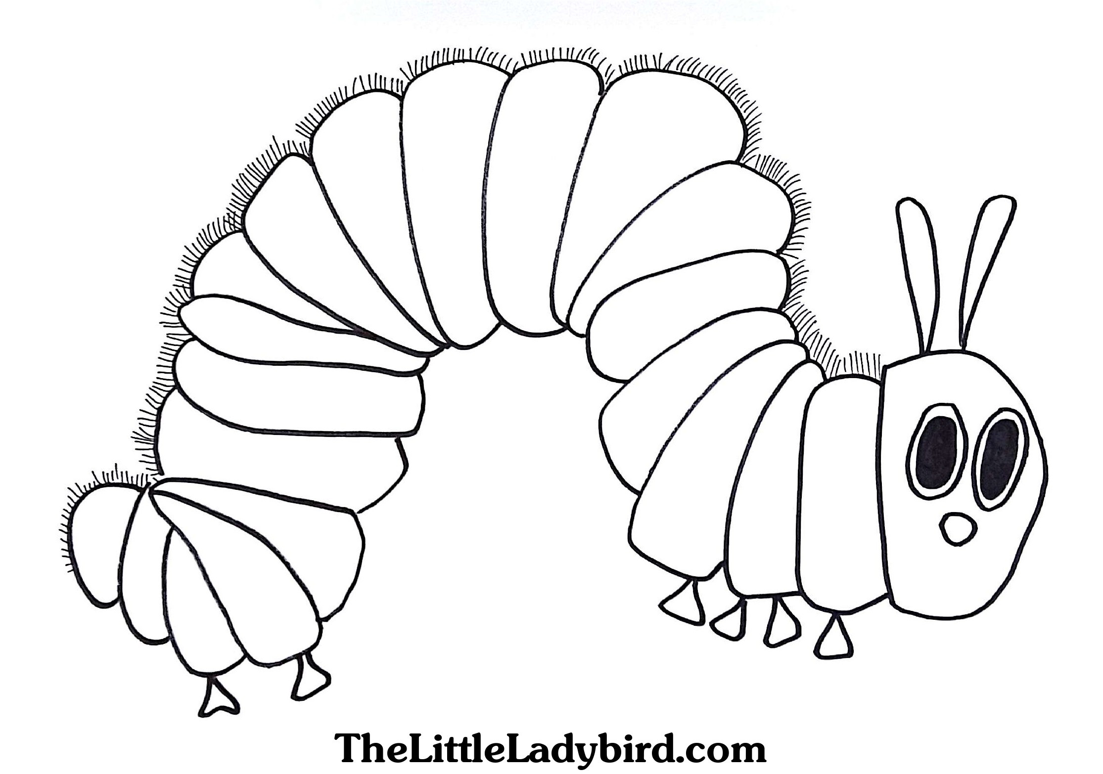 Caterpillar Coloring Pages
 Very Hungry Caterpillar Coloring Pages Printables free