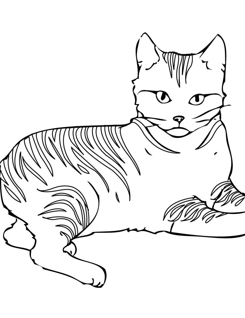 Cats Coloring Pages
 Free Printable Cat Coloring Pages For Kids