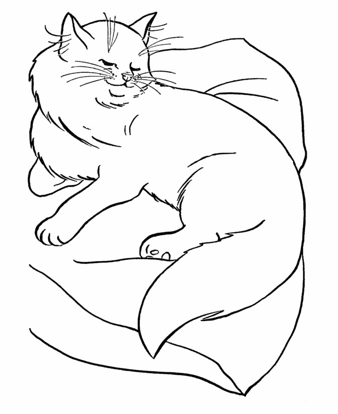 Cats Coloring Pages For Kids
 Free Printable Cat Coloring Pages For Kids