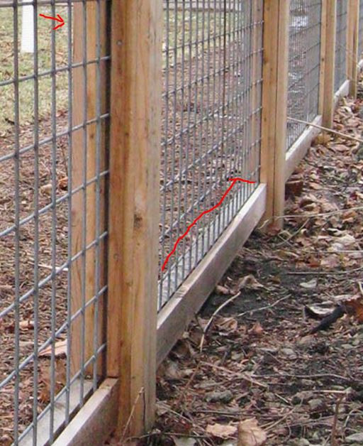 Cattle Panel Fence DIY
 Cattle Panel Fencing Post from Bud 101 FB