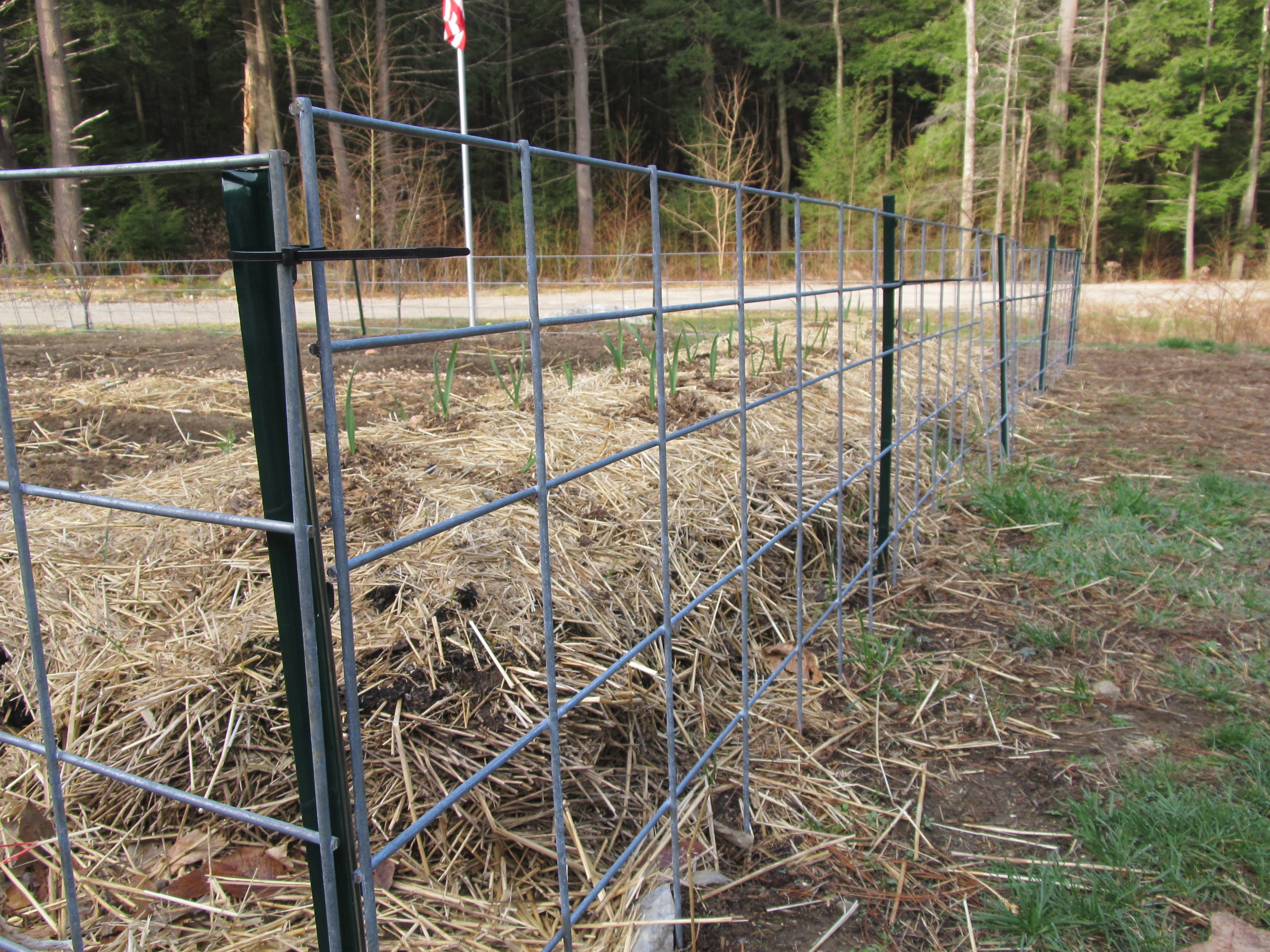 Cattle Panel Fence DIY
 Cattle Fence Panels Design — Design & Ideas How to Build