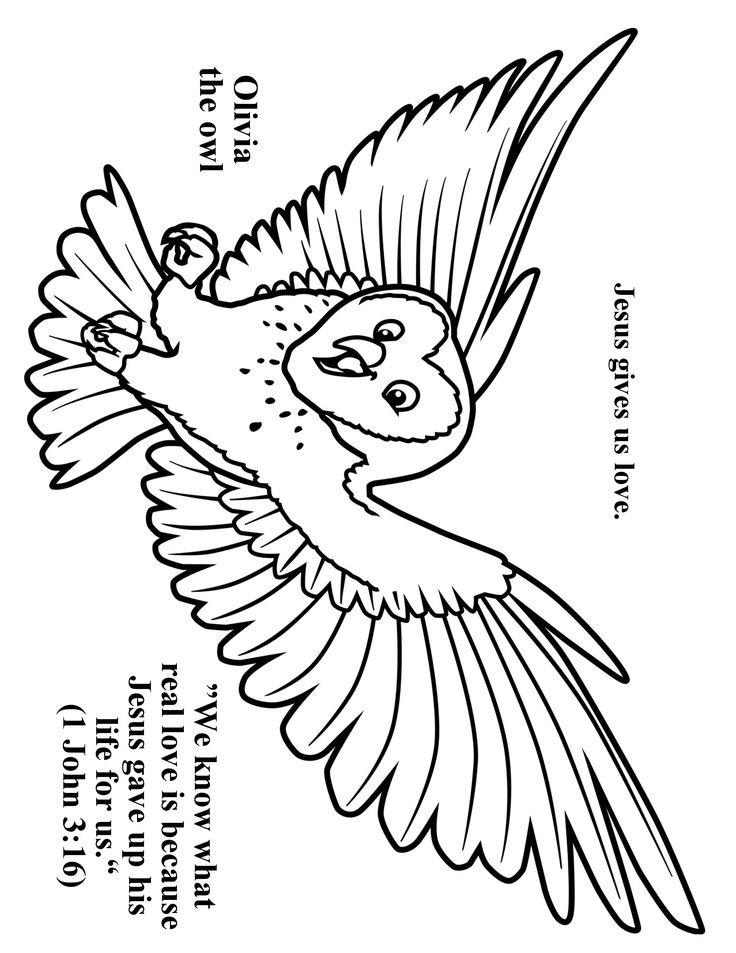 Cave Quest Vbs Preschool Coloring Sheets
 Cave Quest Day 4 preschool coloring page Olivia the Owl