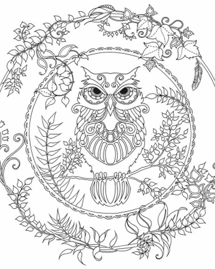 Challenging Coloring Pages For Adults
 Coloring Pages For Adults Difficult Owls – Color Bros