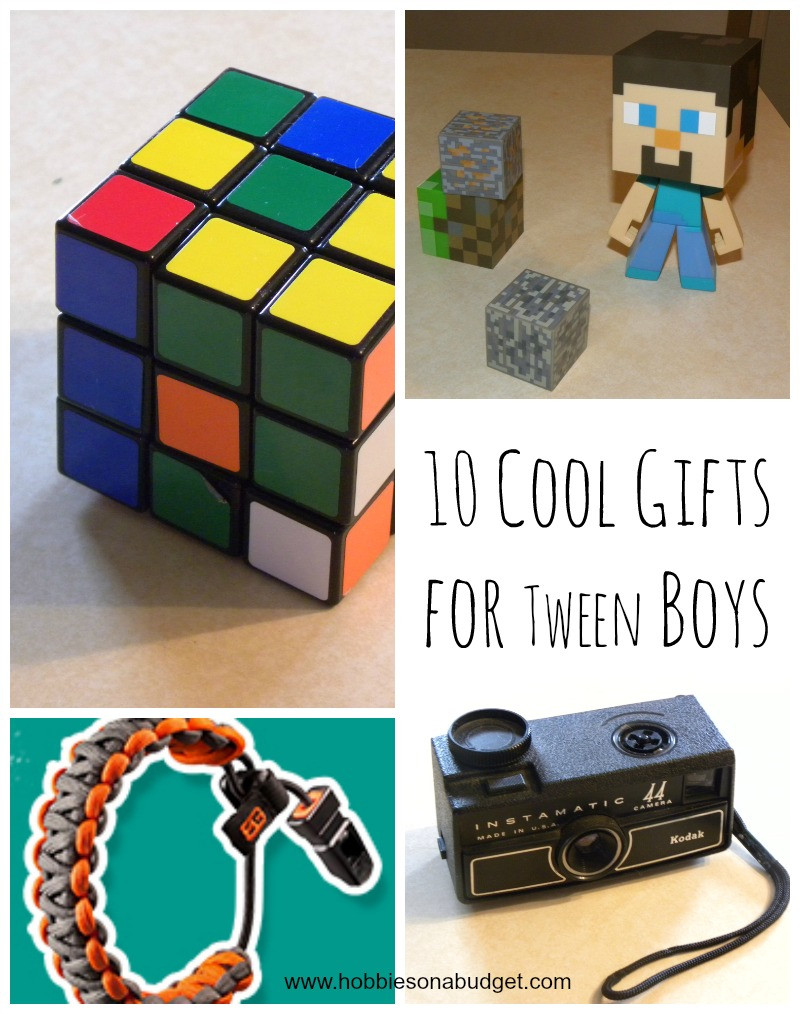 Cheap Gift Ideas For Boys
 10 Cool Gifts for Tween Boys Hobbies on a Bud