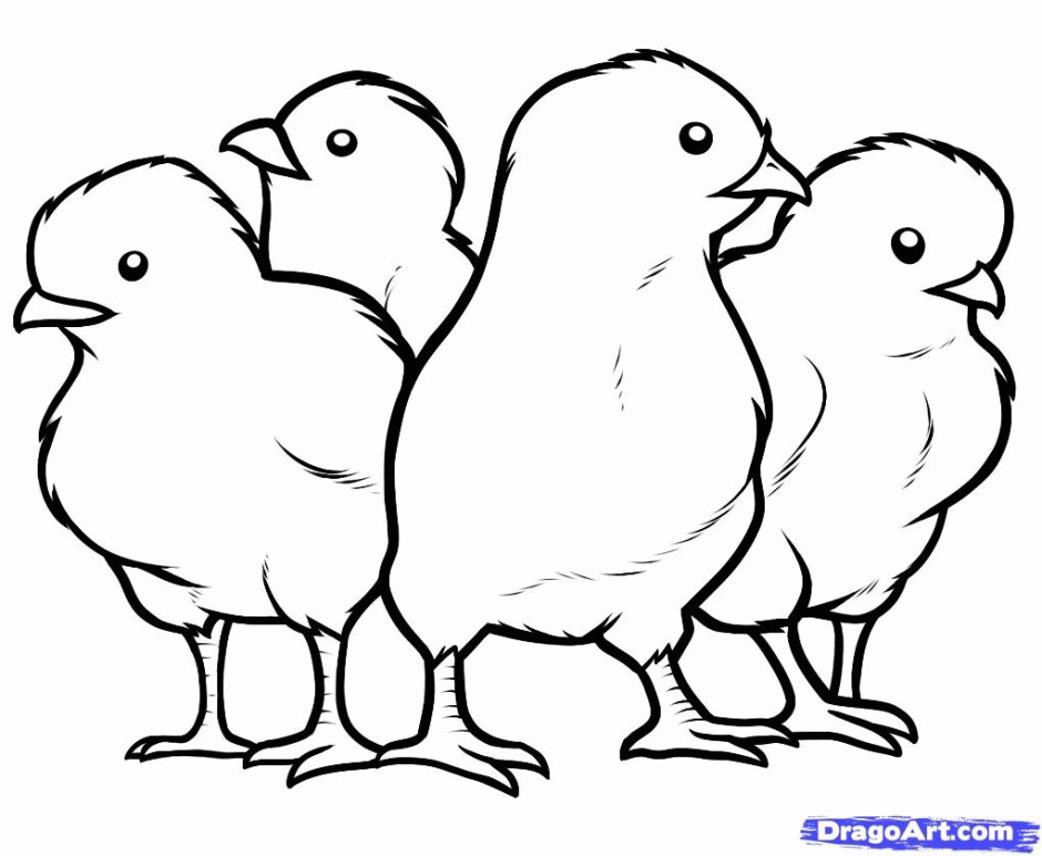 Chickens Coloring Pages
 Baby Chick Coloring Page Coloring Home