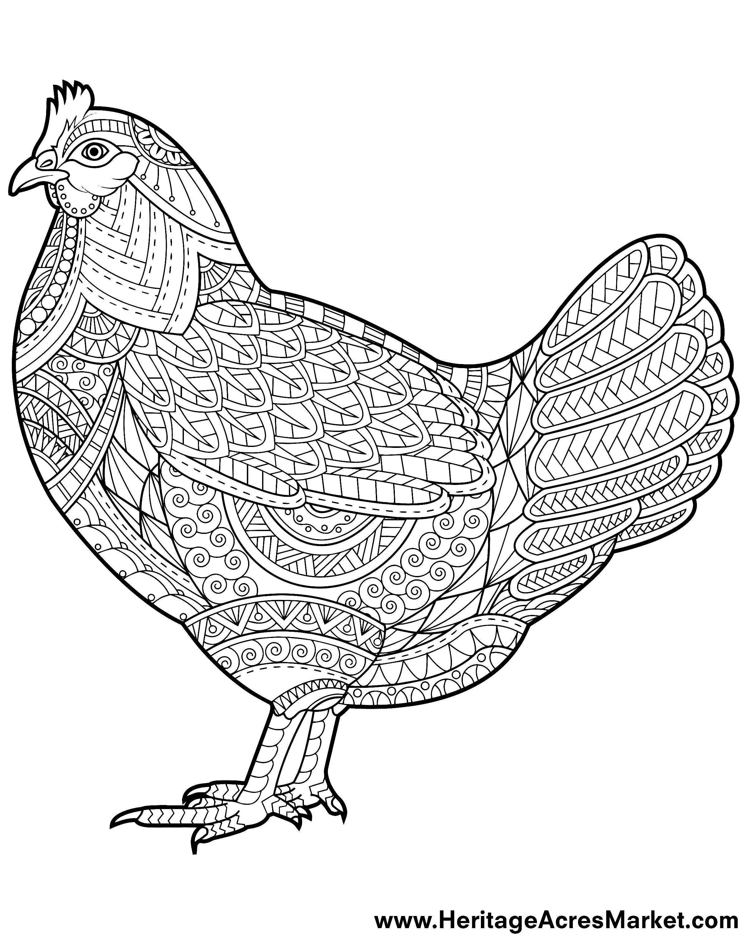 Chickens Coloring Pages
 Funky Chicken Coloring Page Heritage Acres Market LLC