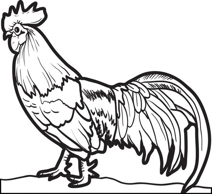 Chickens Coloring Pages
 Free Coloring Pages For Chickens Download Free Clip Art