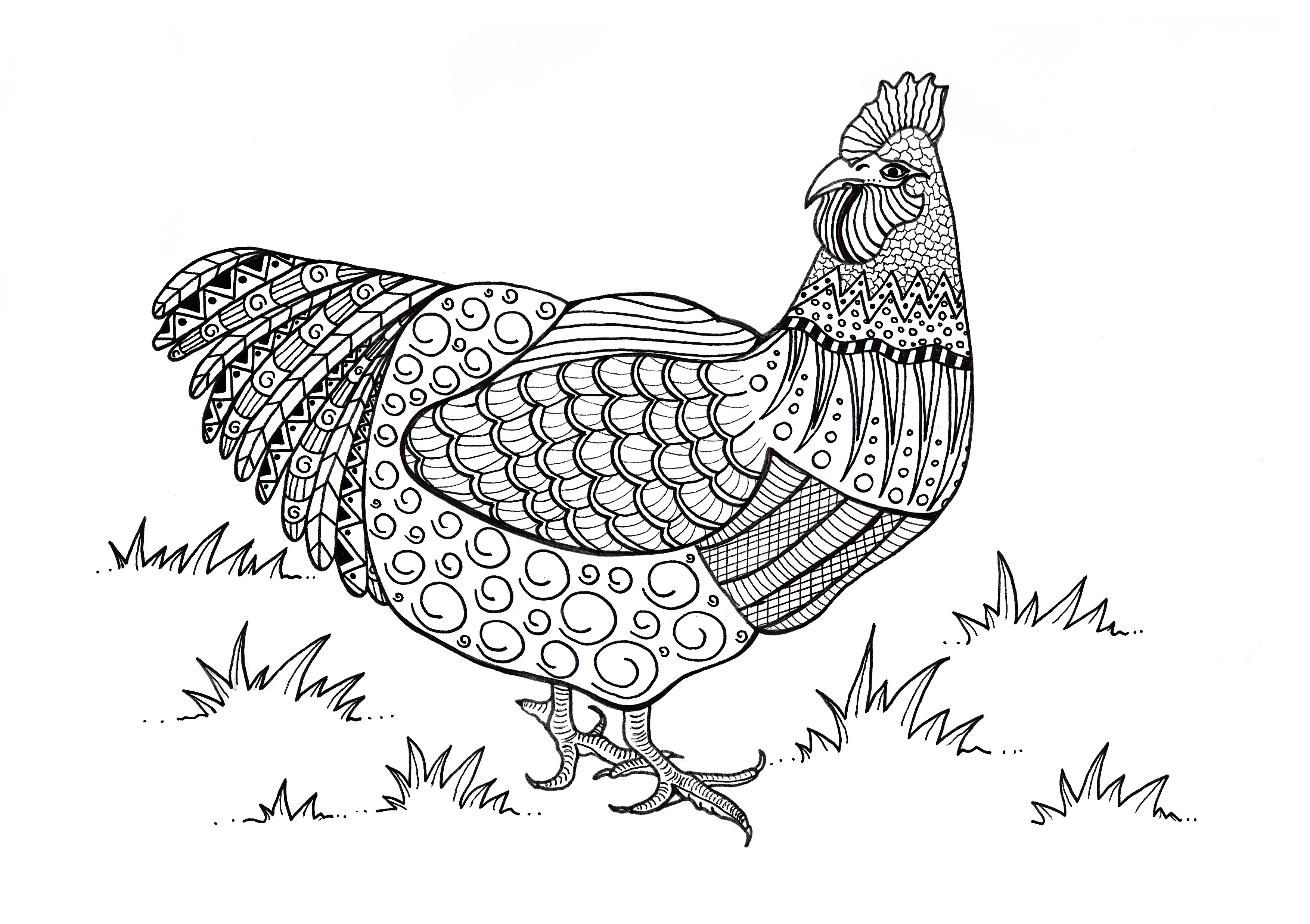 Chickens Coloring Pages
 FREE Adult Coloring Pages Happiness is Homemade