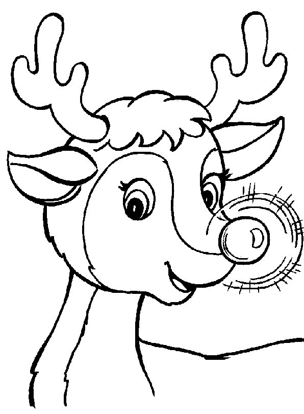 Christmas Coloring Pages Reindeer
 Reindeer Coloring Pages