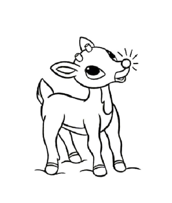 Christmas Coloring Pages Reindeer
 Drawn reindeer christmas coloring page Pencil and in
