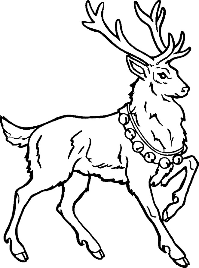 Christmas Coloring Pages Reindeer
 13 Christmas Reindeer Coloring Pages Disney Coloring Pages