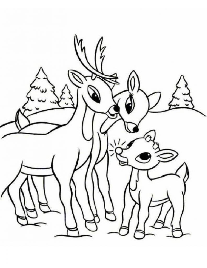 Christmas Coloring Pages Reindeer
 Free Printable Reindeer Coloring Pages For Kids