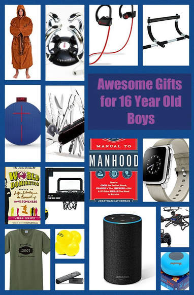 Christmas Gift Ideas For 16 Year Old Boy
 Gift Ideas for 16 Year Old Boys Best ts for teen boys