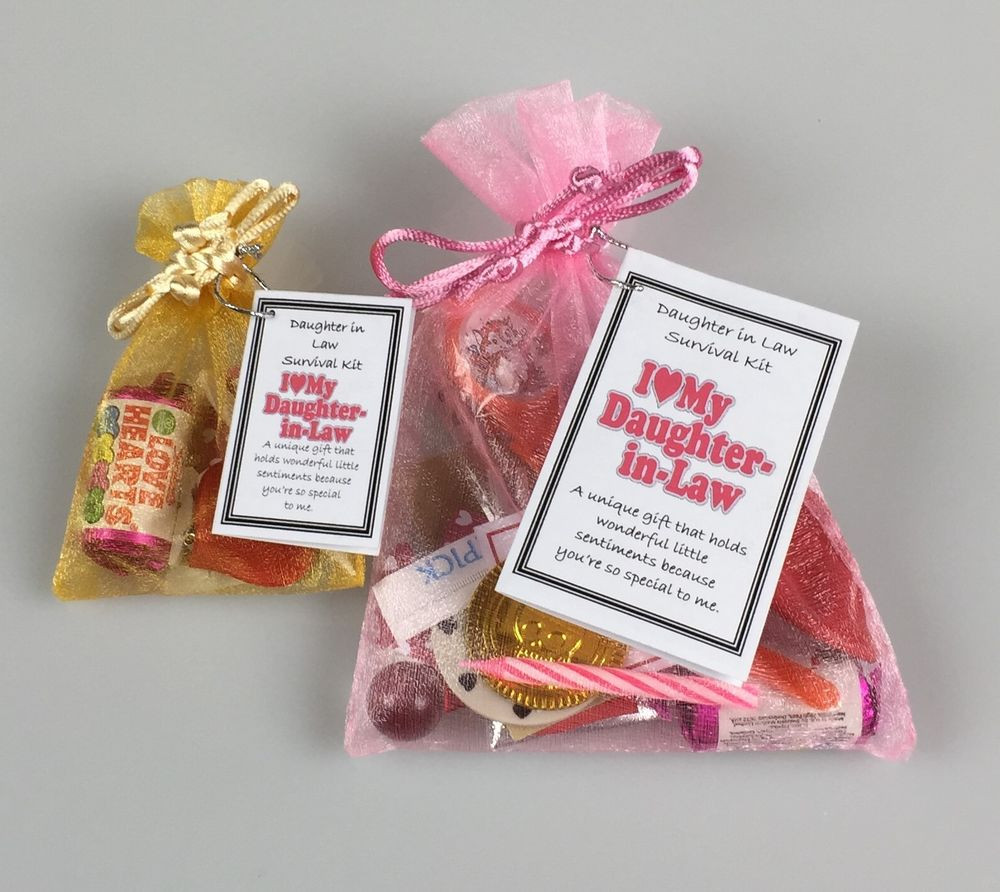 Christmas Gift Ideas For Daughters In Law
 Daughter in Law Survival Kit Birthday Christmas Novelty