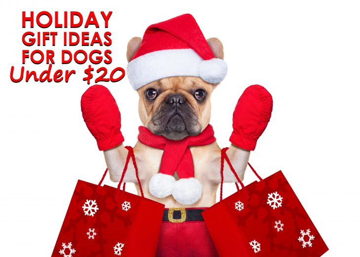 Christmas Gift Ideas Under $20
 Holiday Gift Ideas for Dogs Under $20