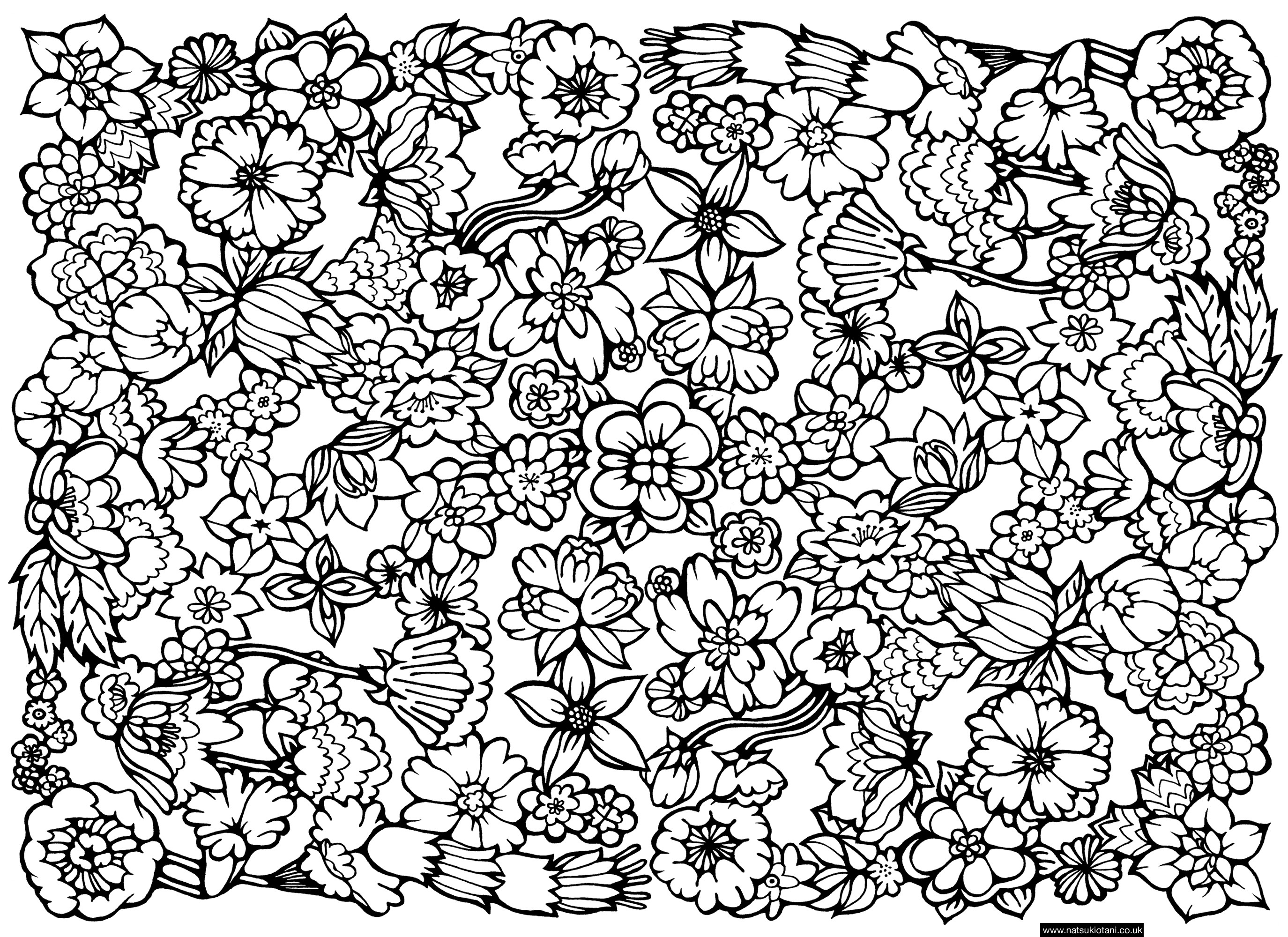 Collage Coloring Pages For Teens
 Printable Coloring Pages Adults Patterns Hard Pattern