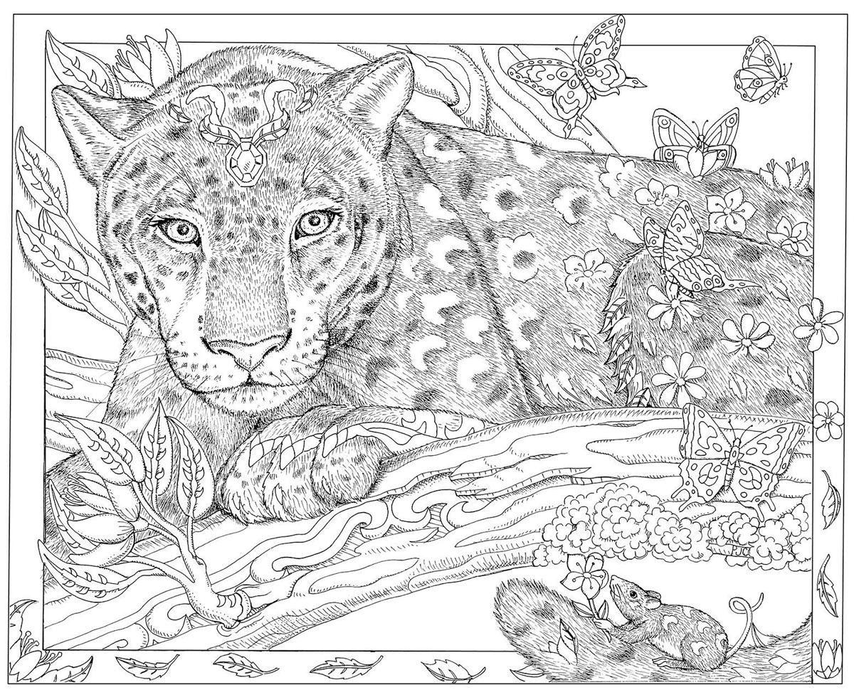 Color Me Coloring Book
 Caldwell artist s bestselling coloring books help inspire
