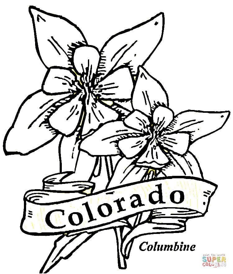 Colorado Coloring Pages
 Colorado coloring page
