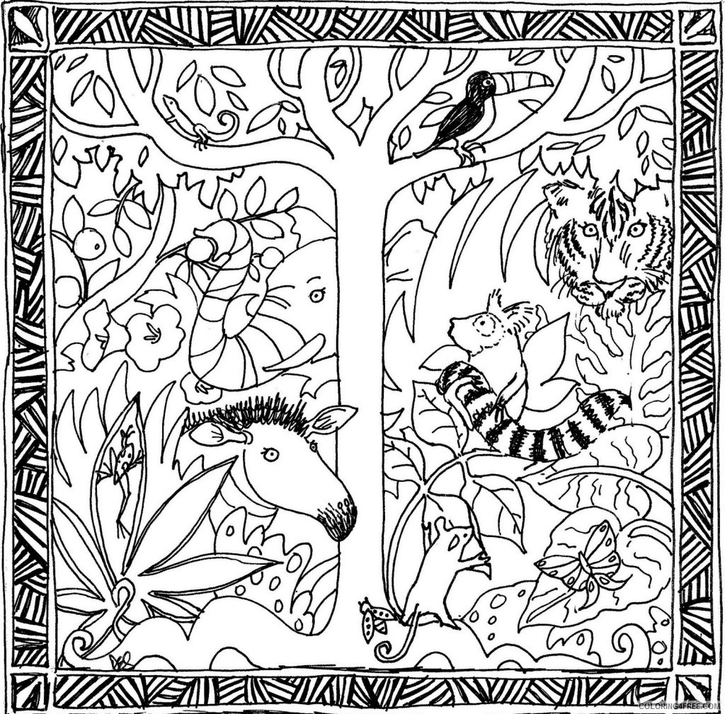 Coloring Book Amazon
 rainforest coloring pages gecko Coloring4free