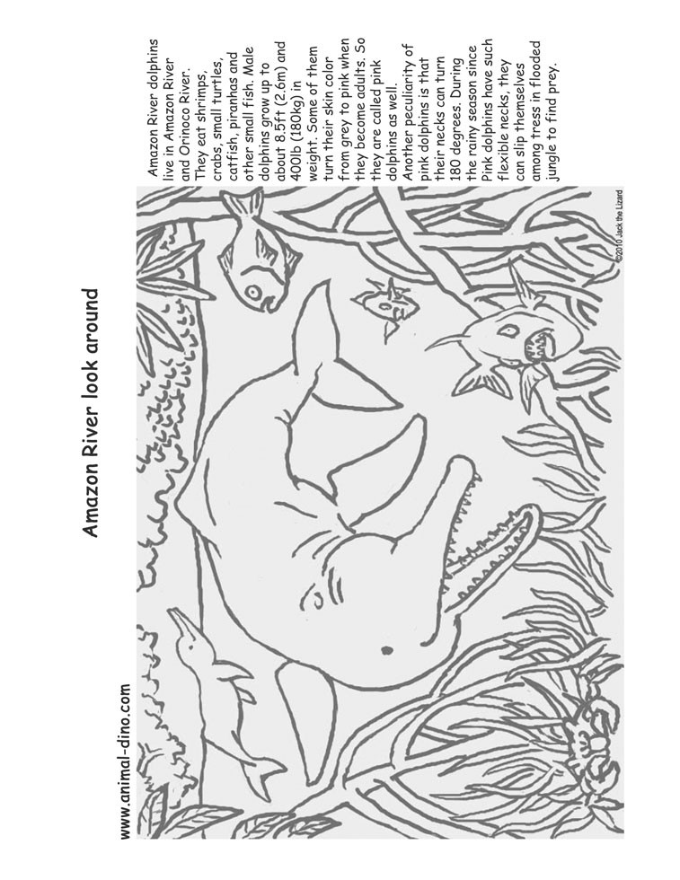 Coloring Book Amazon
 River Coloring Pages Page Image Clipart grig3