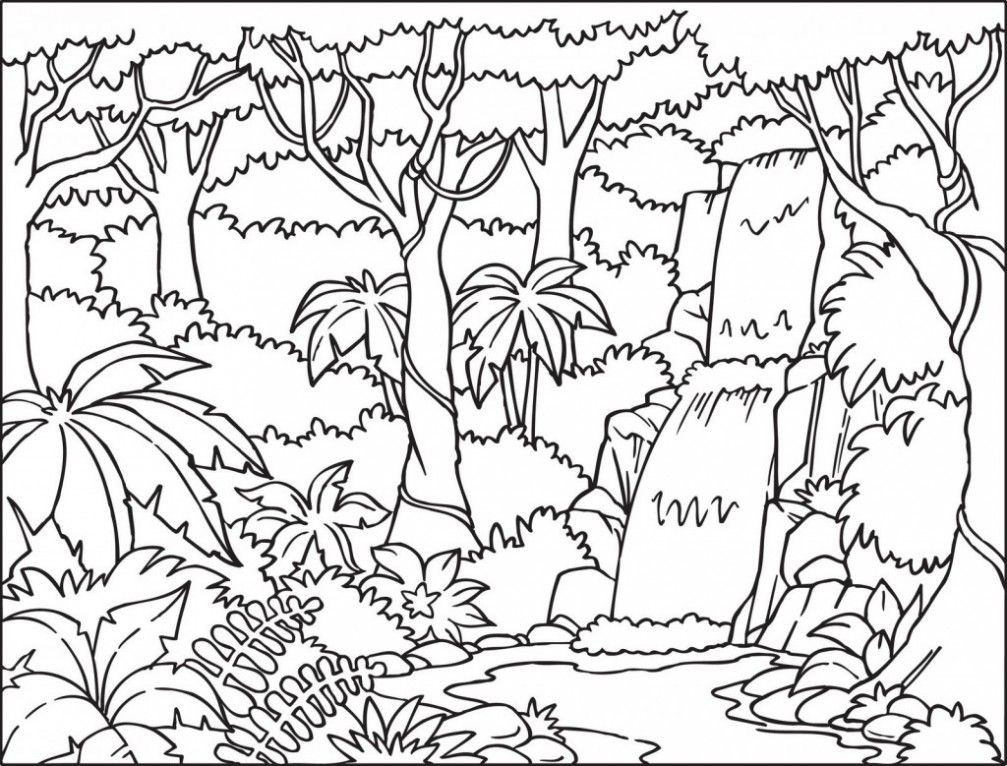 Coloring Book Amazon
 Amazon Rainforest Coloring Pages Coloring Home