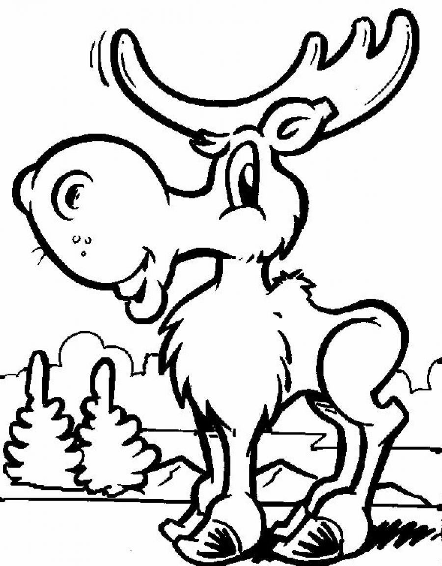 Coloring Book For Kids
 Free Printable Moose Coloring Pages For Kids
