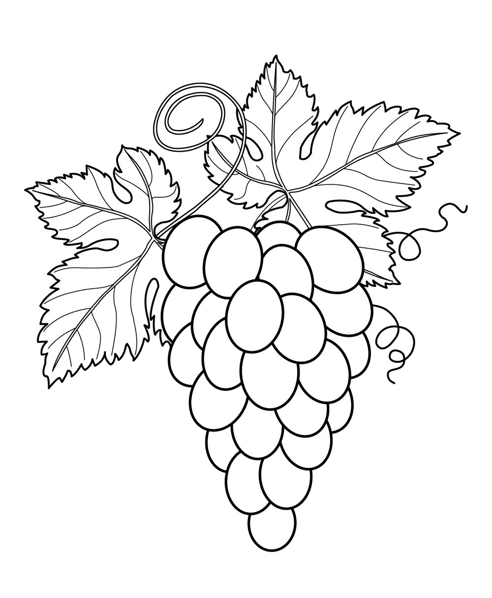 Coloring Book For Kids Fruits
 Fruits Coloring Pages Printable