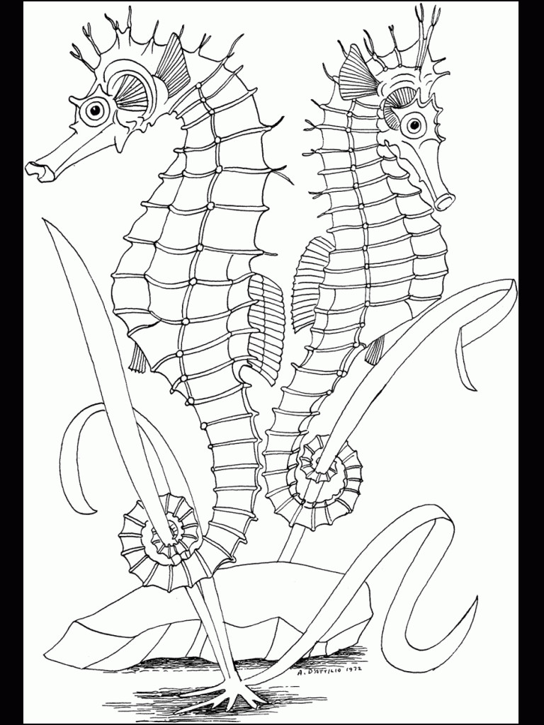 Coloring Book For Kids Online
 Free Printable Ocean Coloring Pages For Kids