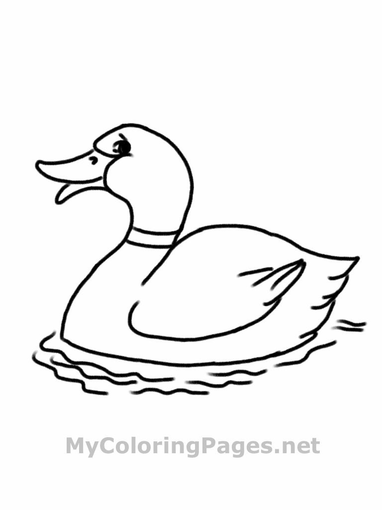 Coloring Book For Kids Pdf
 Coloring Pages Animals Free Coloring Book Pages Find
