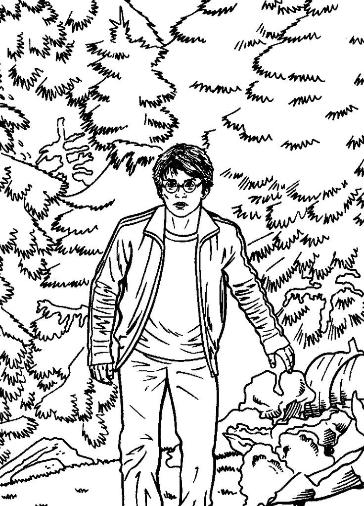Coloring Book Pages Harry Potter
 Harry Potter Coloring Pages