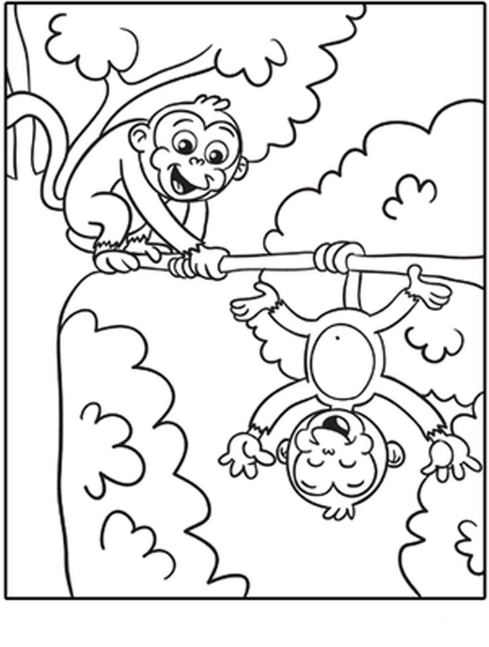 Coloring Book Pages Monkey
 free printable monkey coloring pages