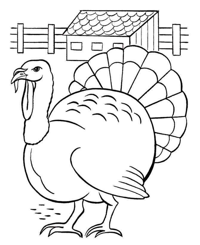 Coloring Book Pages Of Turkeys
 Free Printable Turkey Coloring Pages For Kids
