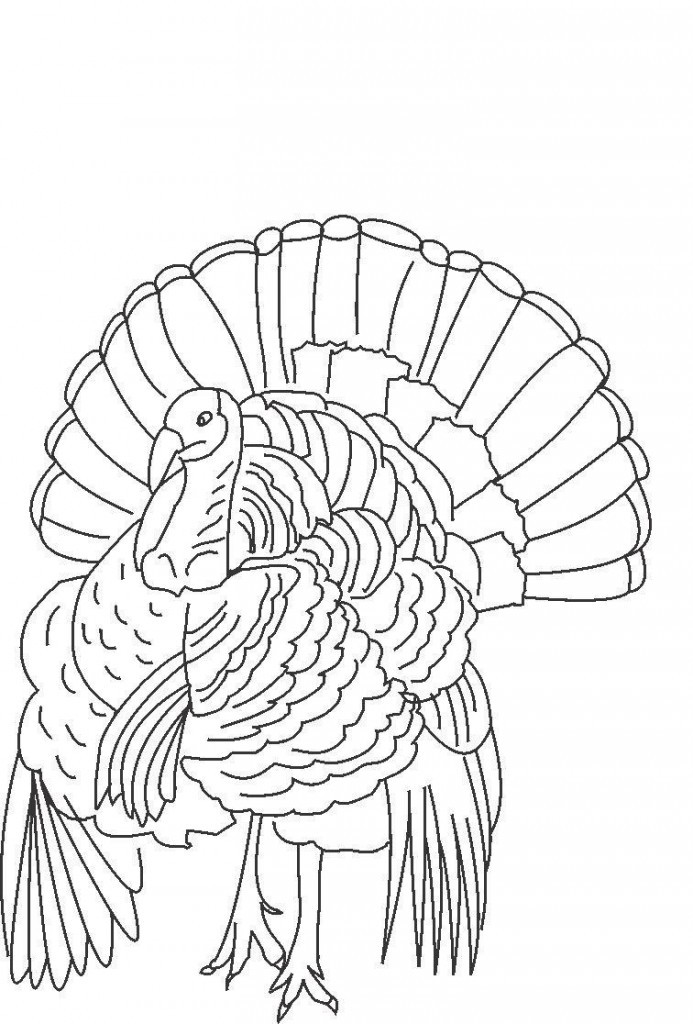 Coloring Book Pages Of Turkeys
 Free Printable Turkey Coloring Pages For Kids