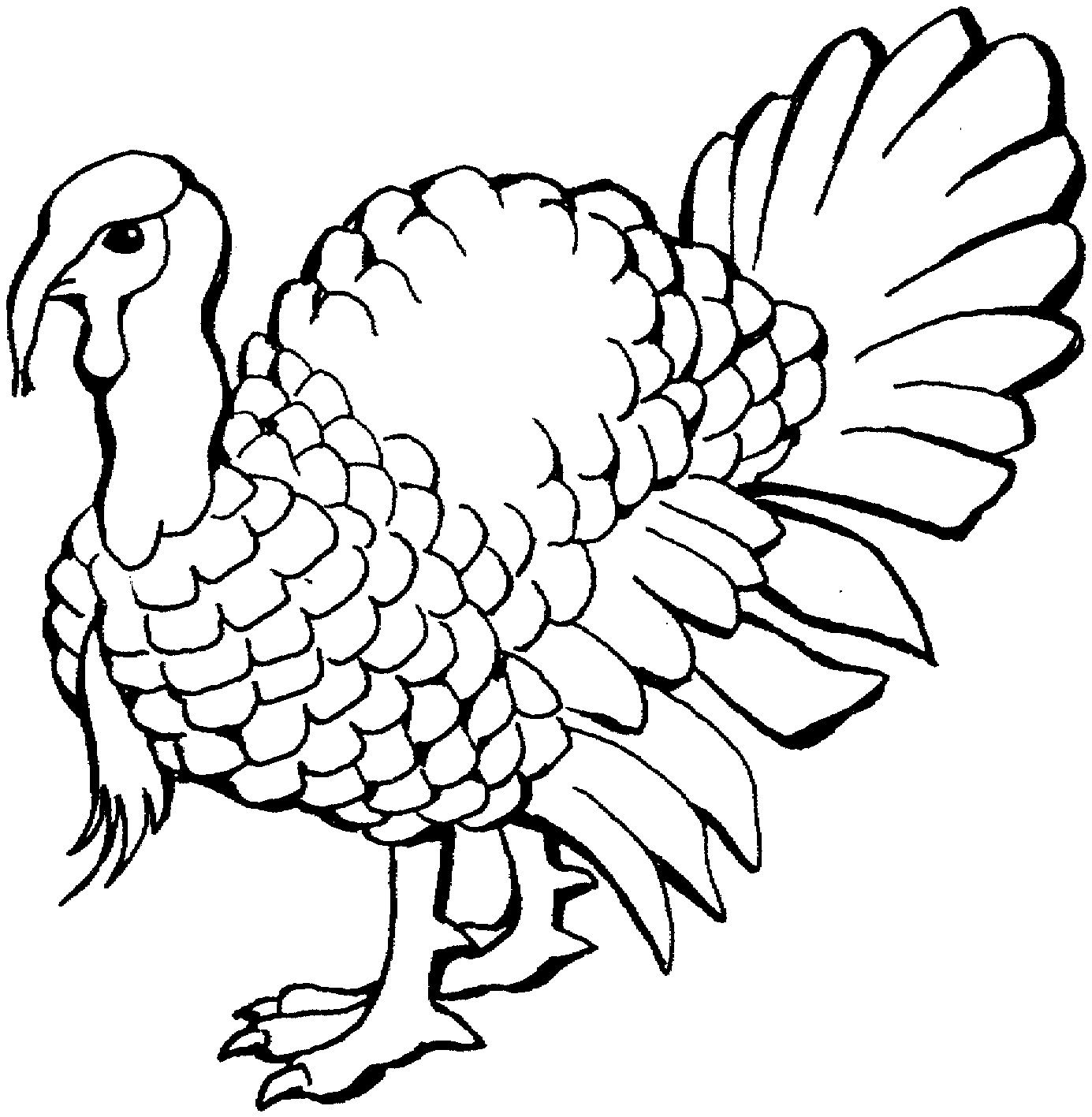 Coloring Book Pages Of Turkeys
 Free Printable Turkey Coloring Pages For Kids