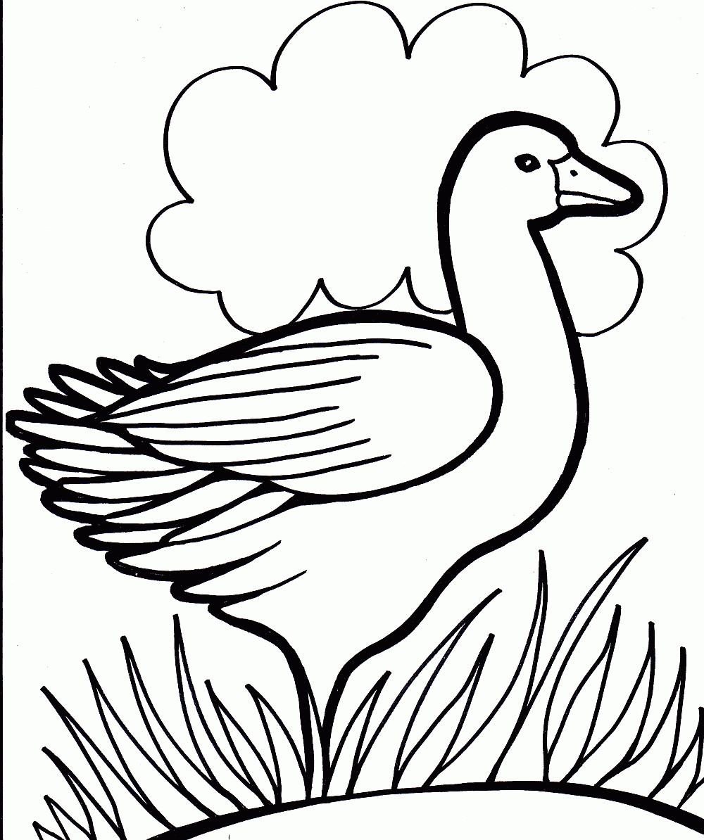 Coloring Books For Kids
 Free Printable Duck Coloring Pages For Kids