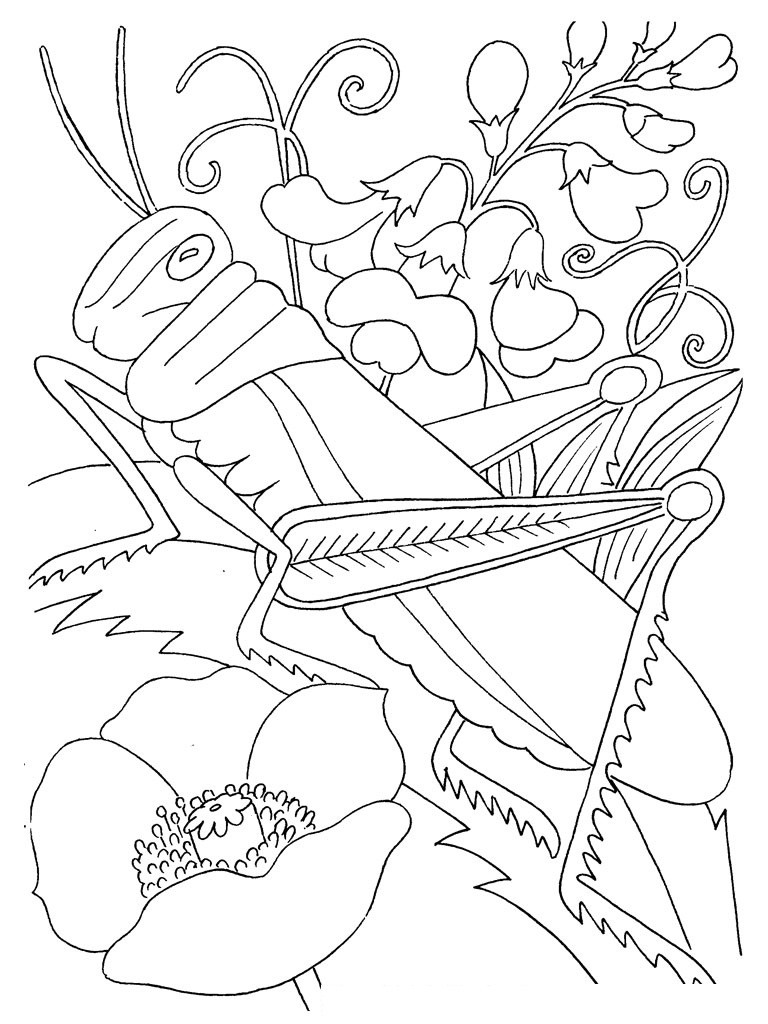 Coloring Pages Bugs
 Free Printable Bug Coloring Pages For Kids