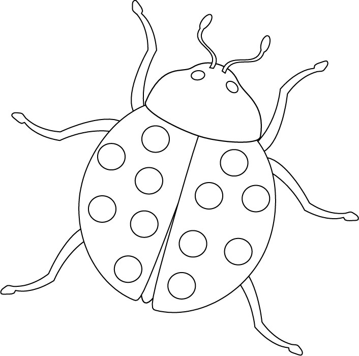 Coloring Pages Bugs
 Free Printable Bug Coloring Pages For Kids