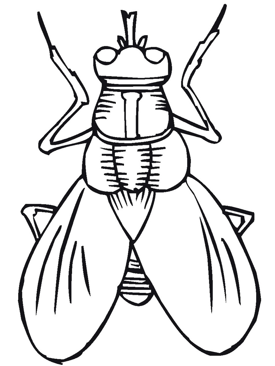 Coloring Pages Bugs
 Free Printable Bug Coloring Pages For Kids