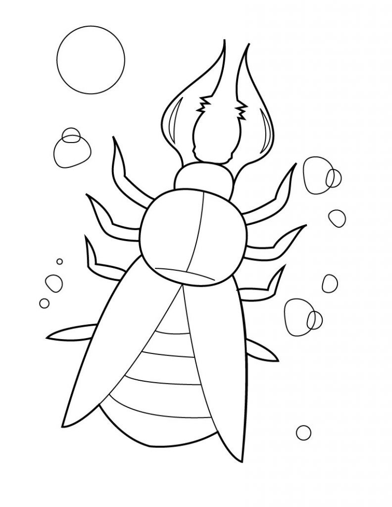 Coloring Pages Bugs
 Free Printable Bug Coloring Pages For Kids