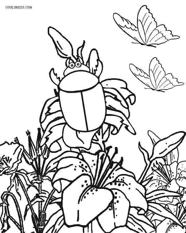 Coloring Pages Bugs
 Printable Bug Coloring Pages For Kids